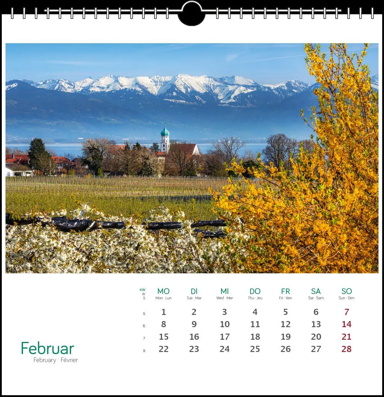 Bild: 9783861926115 | Östlicher Bodensee 2027 | Postkarten-Tischkalender | Fotografen | 2027