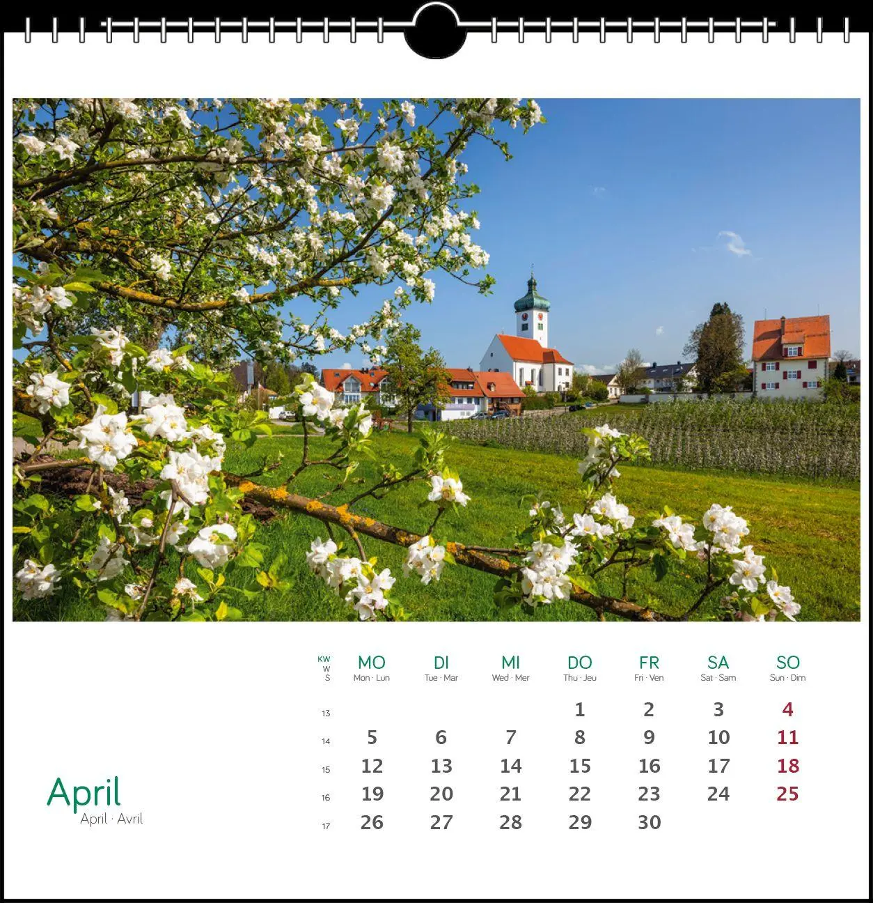 Bild: 9783861926115 | Östlicher Bodensee 2027 | Postkarten-Tischkalender | Fotografen | 2027