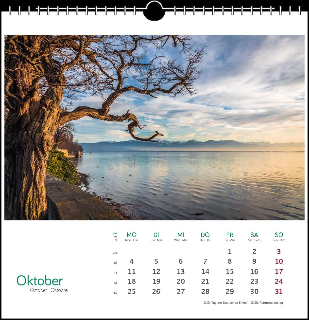 Bild: 9783861926115 | Östlicher Bodensee 2027 | Postkarten-Tischkalender | Fotografen | 2027