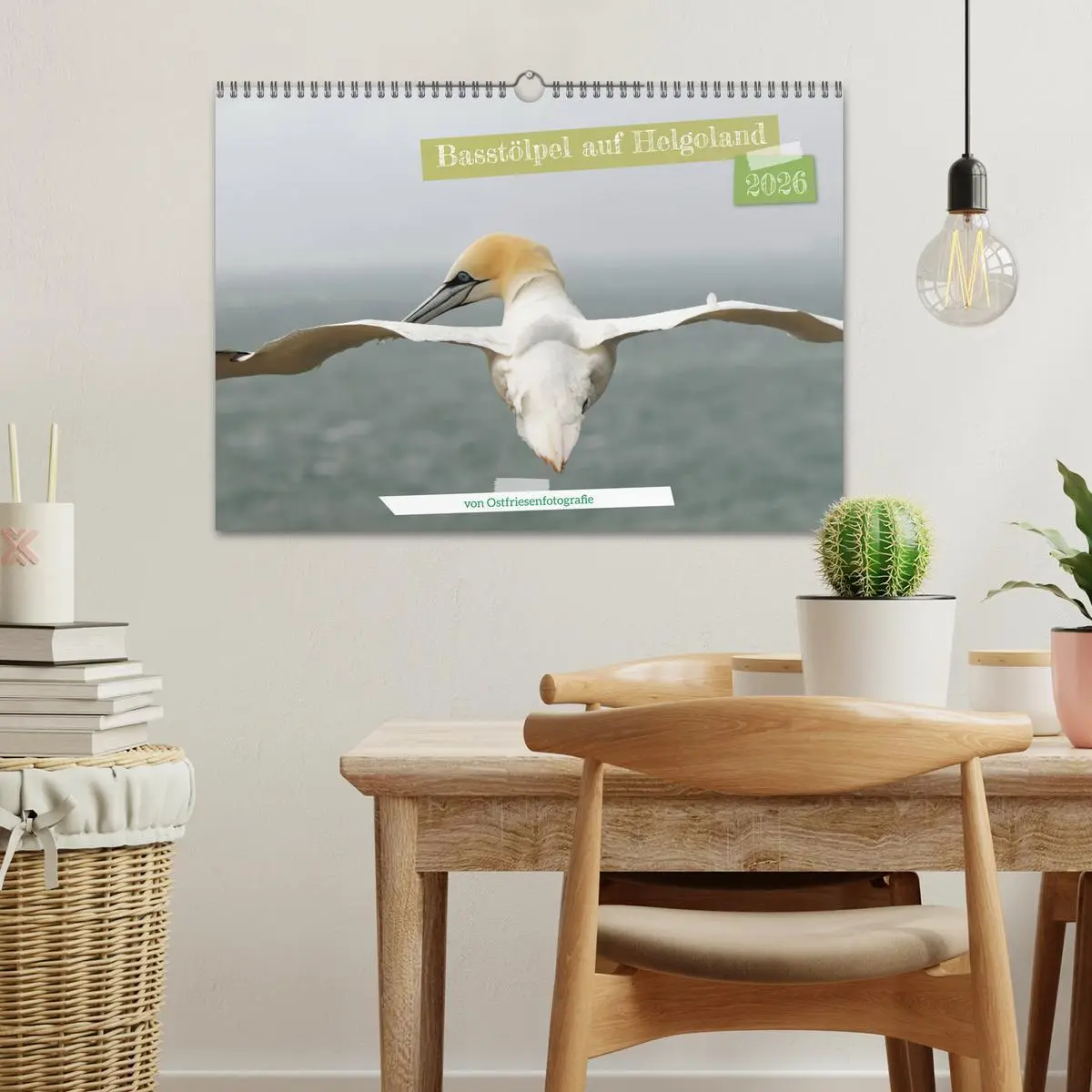 Bild: 9783457546215 | Basstölpel auf Helgoland - von Ostfriesenfotografie (Wandkalender...