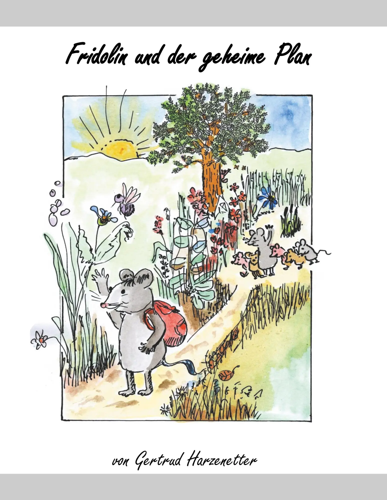 Cover: 9783749456215 | Fridolin und der geheime Plan | Gertrud Harzenetter | Taschenbuch