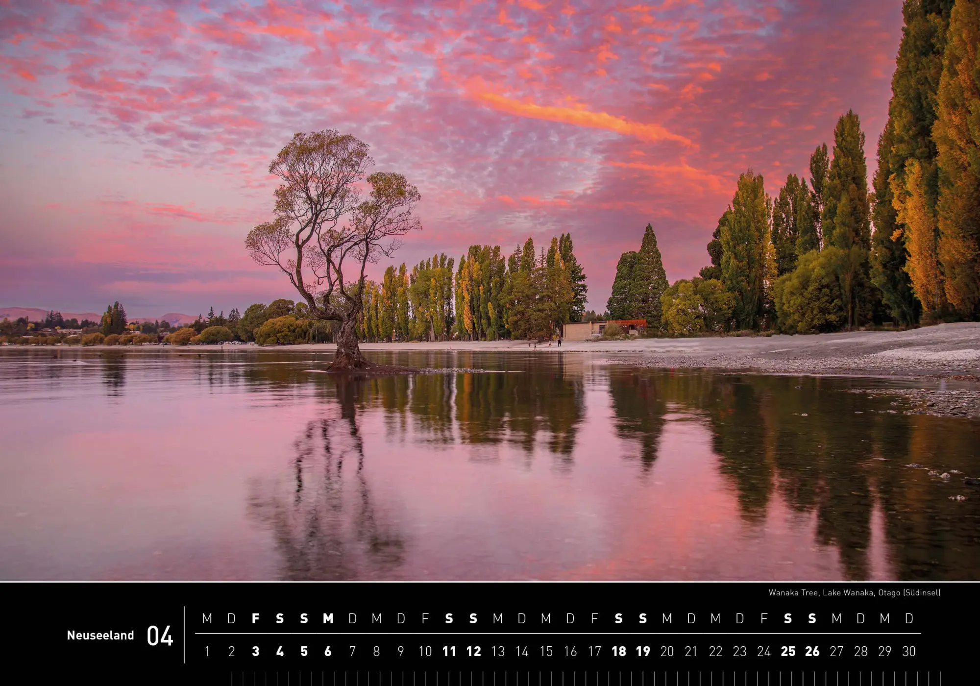 Bild: 9783968556215 | Neuseeland Premiumkalender 2026 | Christian Heeb | Kalender | 14 S.