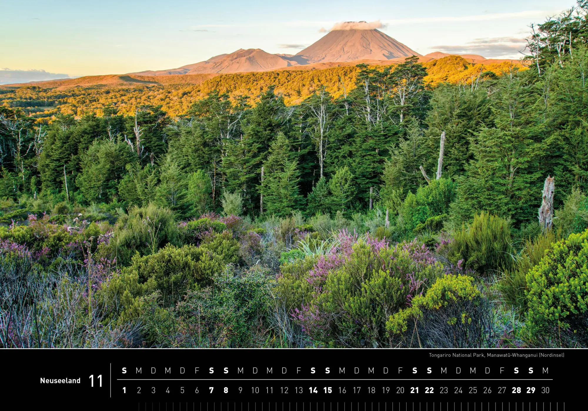 Bild: 9783968556215 | Neuseeland Premiumkalender 2026 | Christian Heeb | Kalender | 14 S.