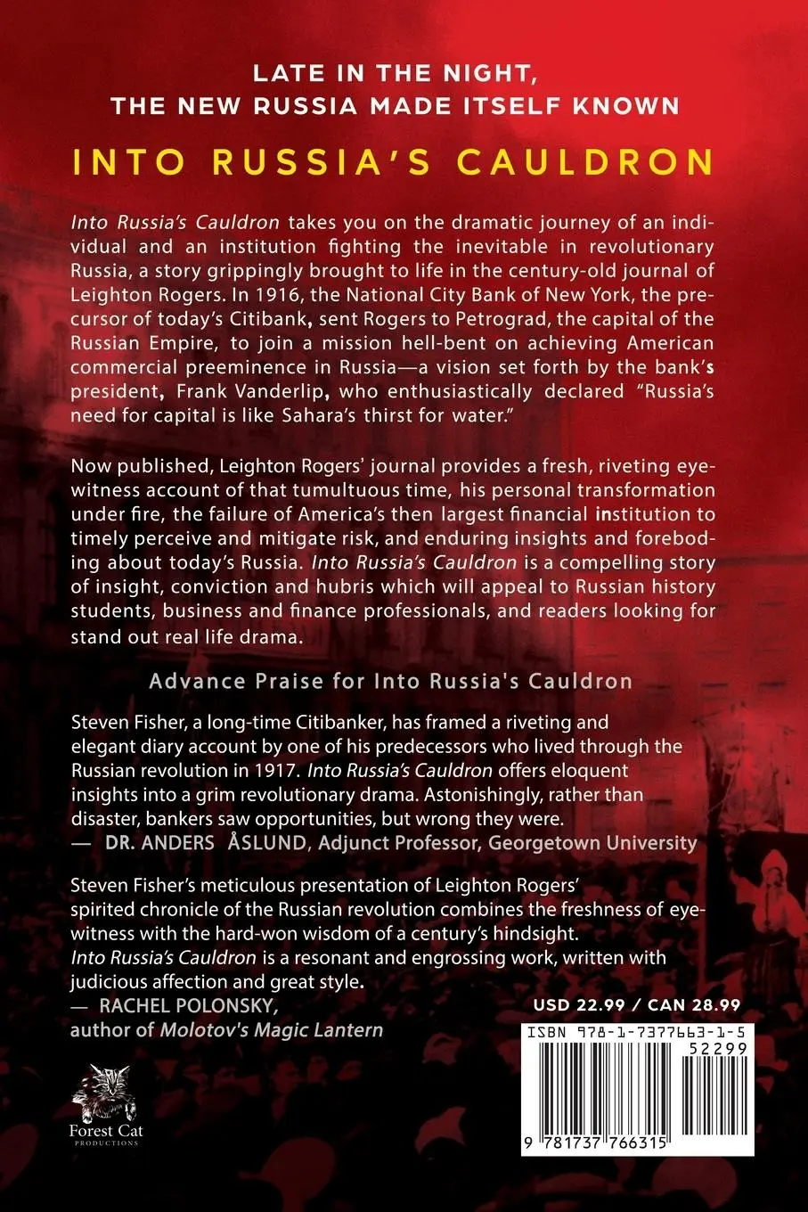 Rückseite: 9781737766315 | Into Russia's Cauldron | An American Vision, Undone | Steven Fisher