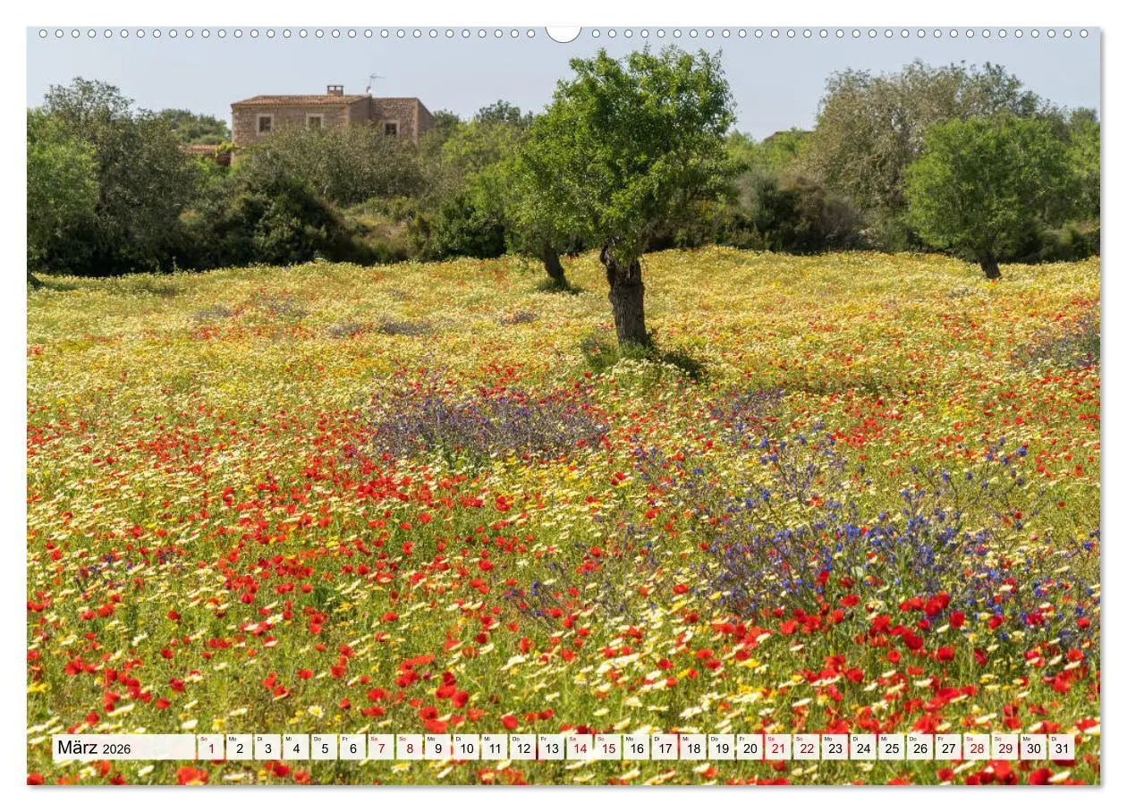 Bild: 9783457466315 | Spanien - Balearen - Mallorca (Wandkalender 2026 DIN A2 quer),...