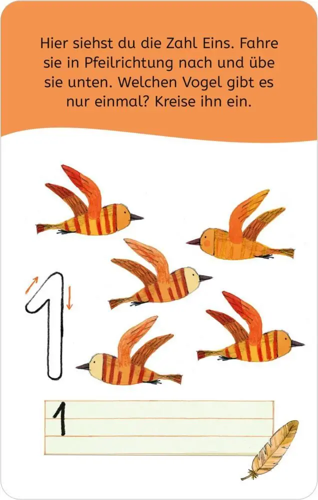 Autor: 9783845856315 | Erstes Lernen mit Spaß - Zum Schulstart: 50 Übungskarten | Schüttler