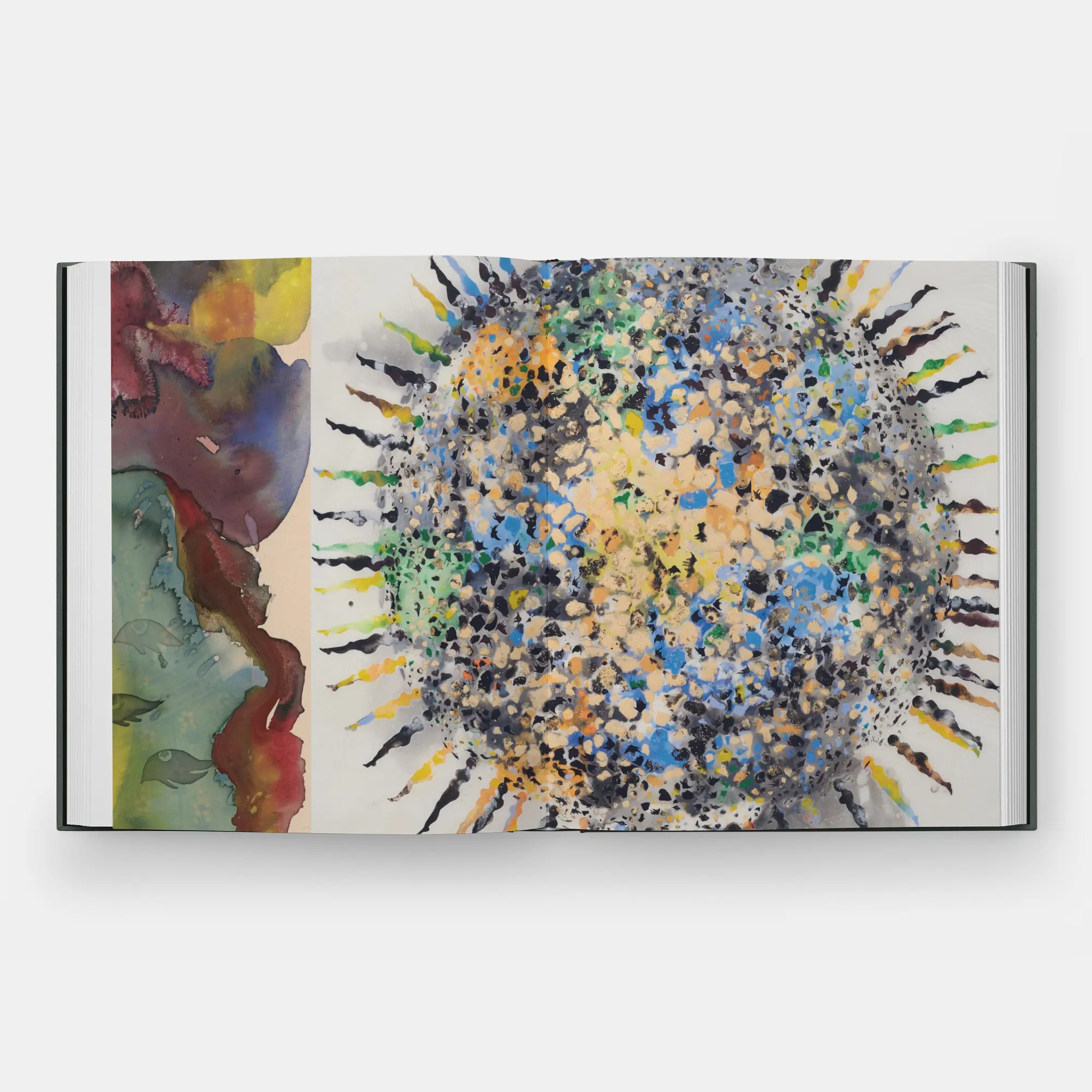 Bild: 9781580936415 | Shahzia Sikander | Collective Behavior | Ainsley Cameron (u. a.)
