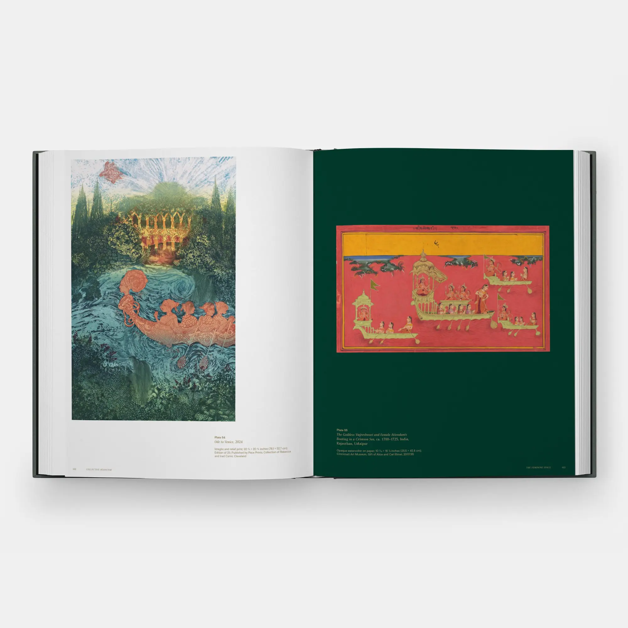 Bild: 9781580936415 | Shahzia Sikander | Collective Behavior | Ainsley Cameron (u. a.)