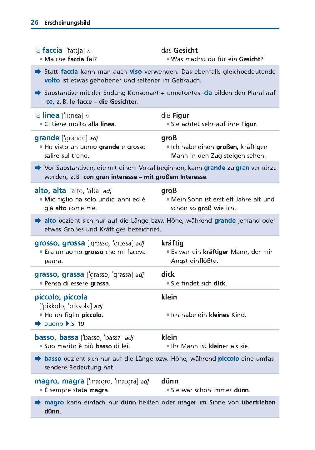 Bild: 9783125636415 | Langenscheidt Grund- und Aufbauwortschatz Italienisch | Taschenbuch