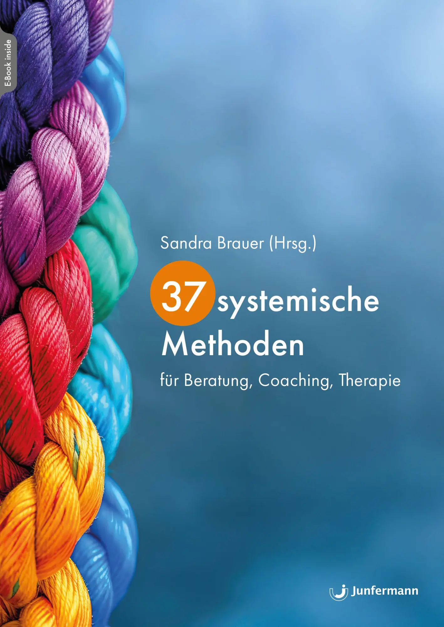 Cover: 9783749506415 | 37 systemische Methoden | für Beratung, Coaching, Therapie | Brauer