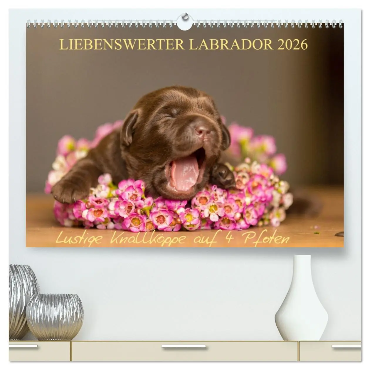 Cover: 9783457996515 | Liebenswerter Labrador 2026 (hochwertiger Premium Wandkalender 2026...