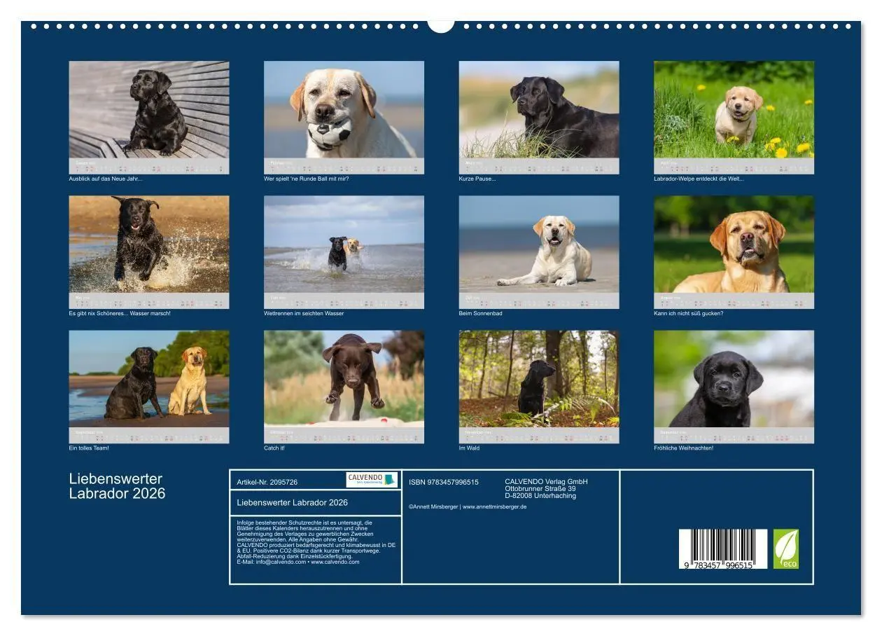 Bild: 9783457996515 | Liebenswerter Labrador 2026 (hochwertiger Premium Wandkalender 2026...