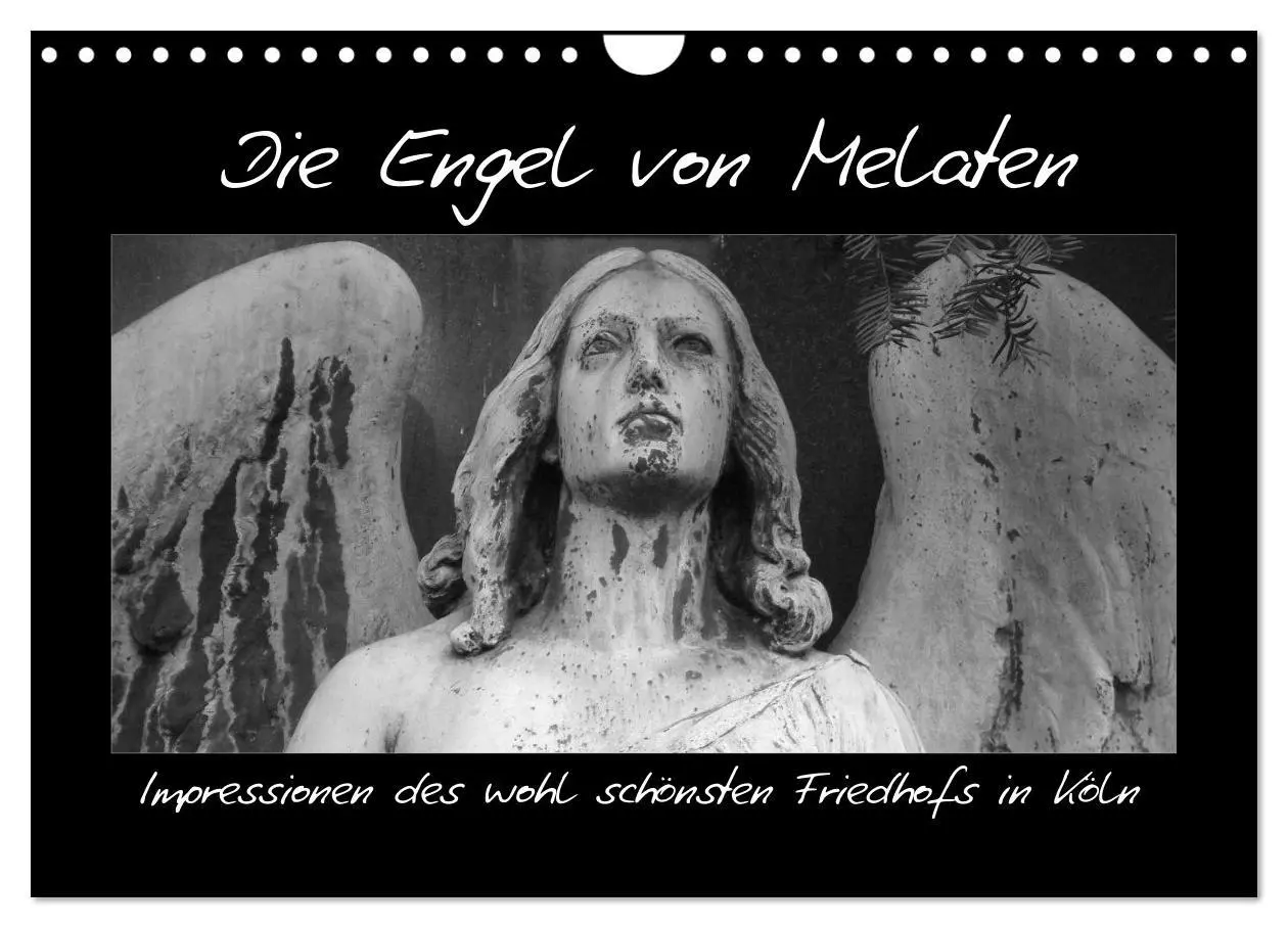 Cover: 9783516156515 | Die Engel von Melaten (Wandkalender 2026 DIN A4 quer), CALVENDO...