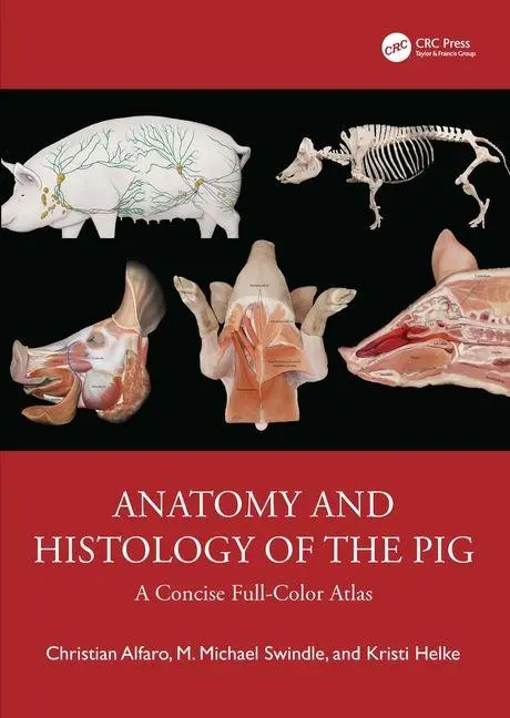 Cover: 9780367266615 | Anatomy and Histology of the Pig | A Concise Full-Color Atlas | Buch