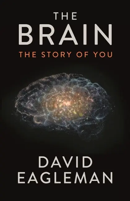 Cover: 9781782116615 | The Brain | The Story of You | David Eagleman | Taschenbuch | 246 S.