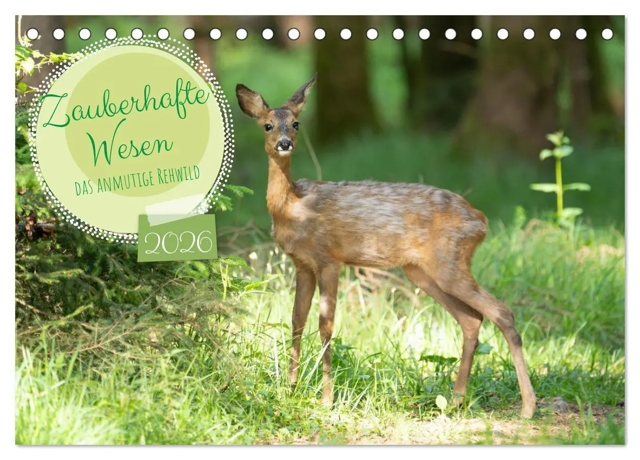 Cover: 9783457366615 | Zauberhafte Wesen - anmutiges Rehwild (Tischkalender 2026 DIN A5...