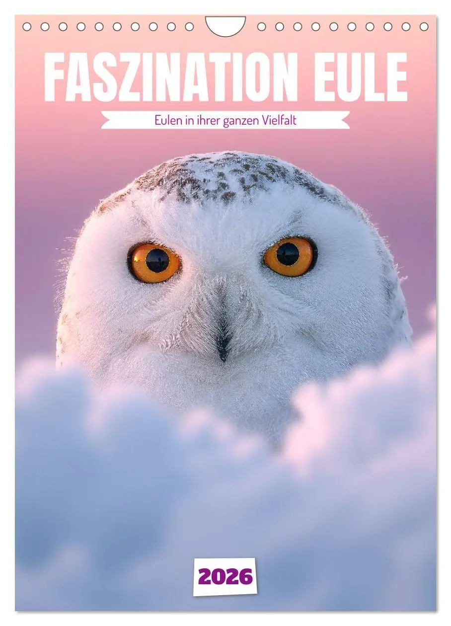 Cover: 9783516696615 | Faszination Eule - Eulen in ihrer ganzen Vielfalt (Wandkalender...
