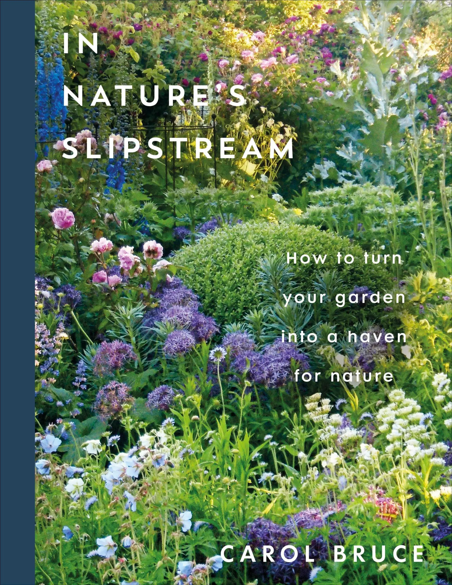 Cover: 9780241806715 | In Nature's Slipstream | Carol Bruce | Buch | Englisch | 2026