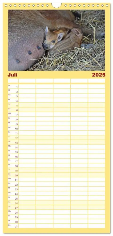 Bild: 9783457116715 | Familienplaner 2025 - Der Schweinekalender mit 5 Spalten...