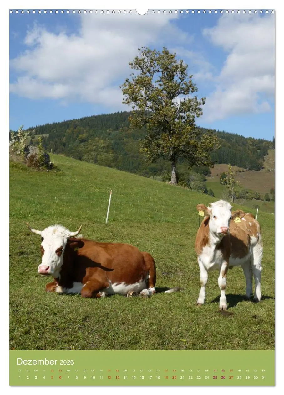Bild: 9783516436815 | Schwarzwald und Kühe im Hochformat (hochwertiger Premium...