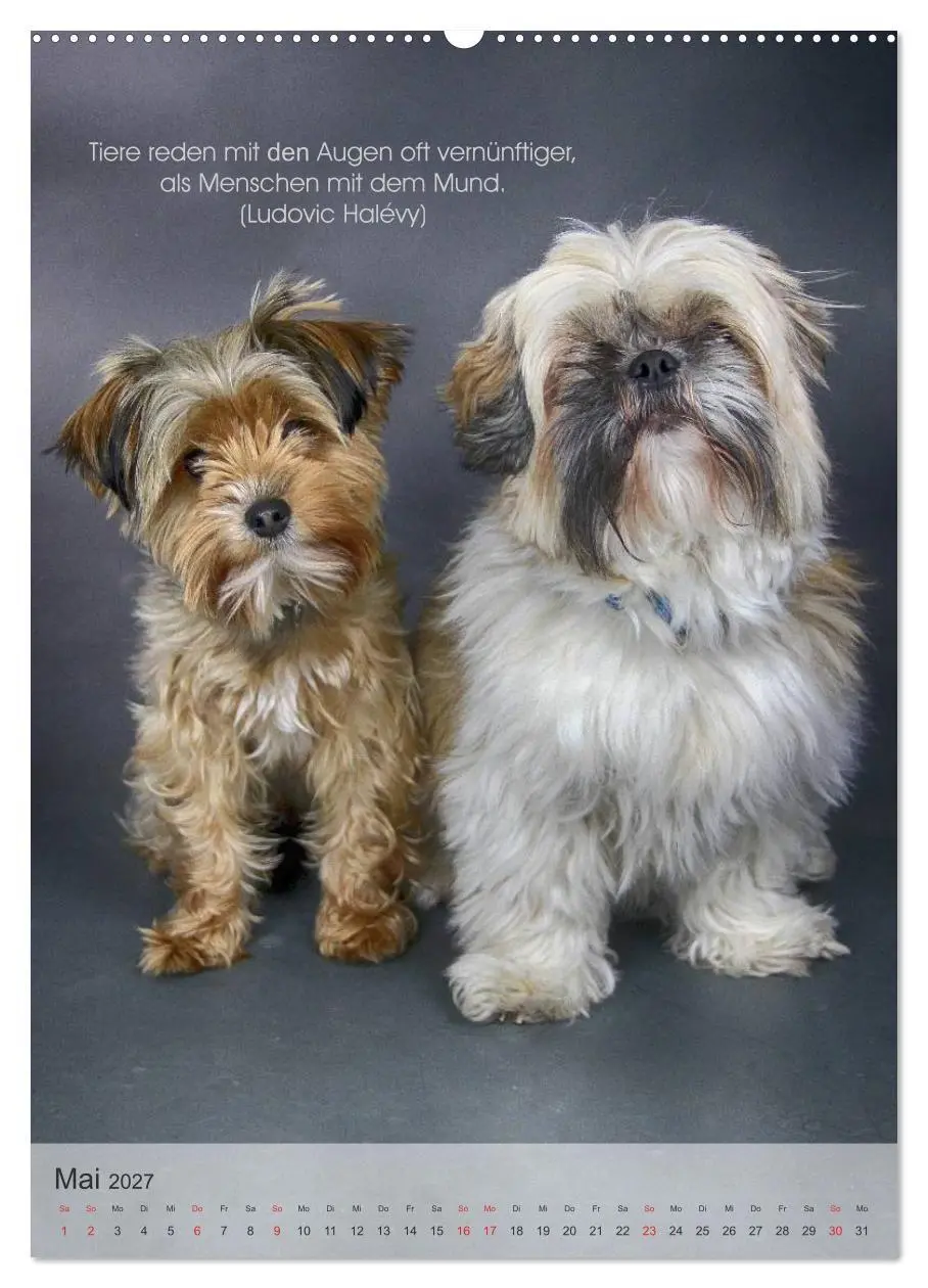 Bild: 9783594036815 | Hundezitate 2027 (Wandkalender 2027 DIN A2 hoch), CALVENDO...