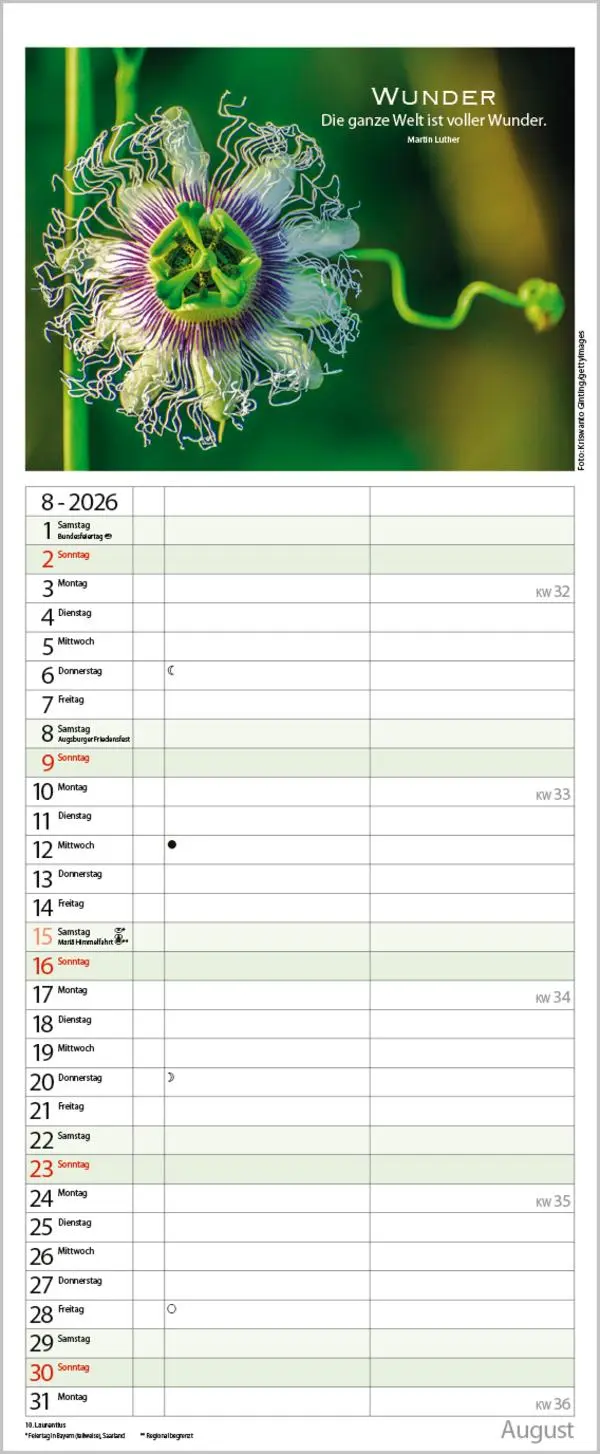 Bild: 9783731886815 | Planer für die besten Jahre 2026 | Verlag Korsch | Kalender | 14 S.
