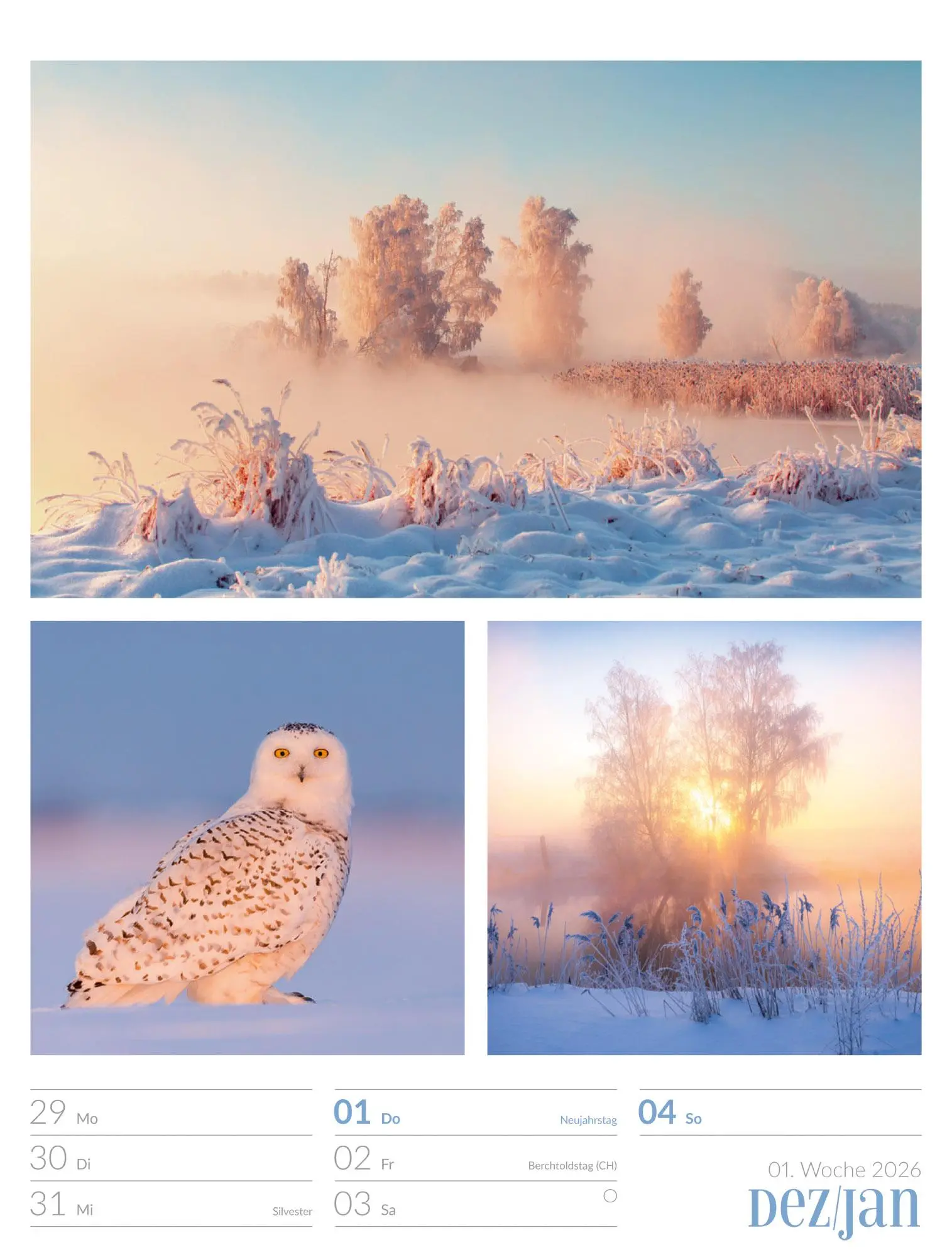 Bild: 9783838426815 | Farben der Natur - Wochenplaner Kalender 2026 | GmbH | Kalender | 2026
