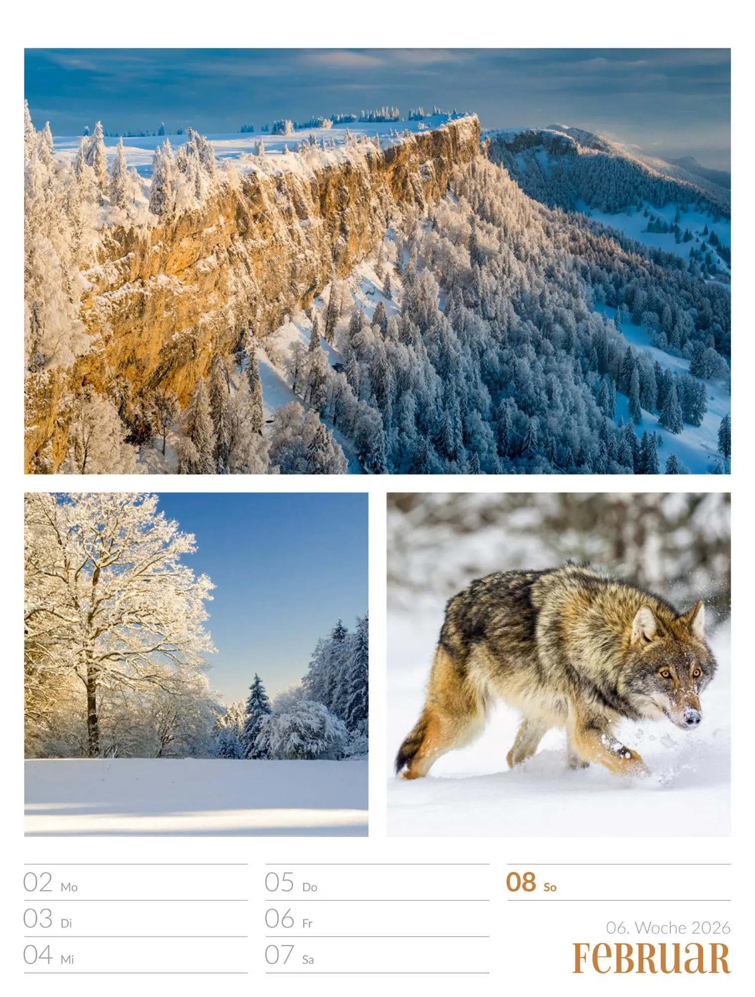 Bild: 9783838426815 | Farben der Natur - Wochenplaner Kalender 2026 | GmbH | Kalender | 2026