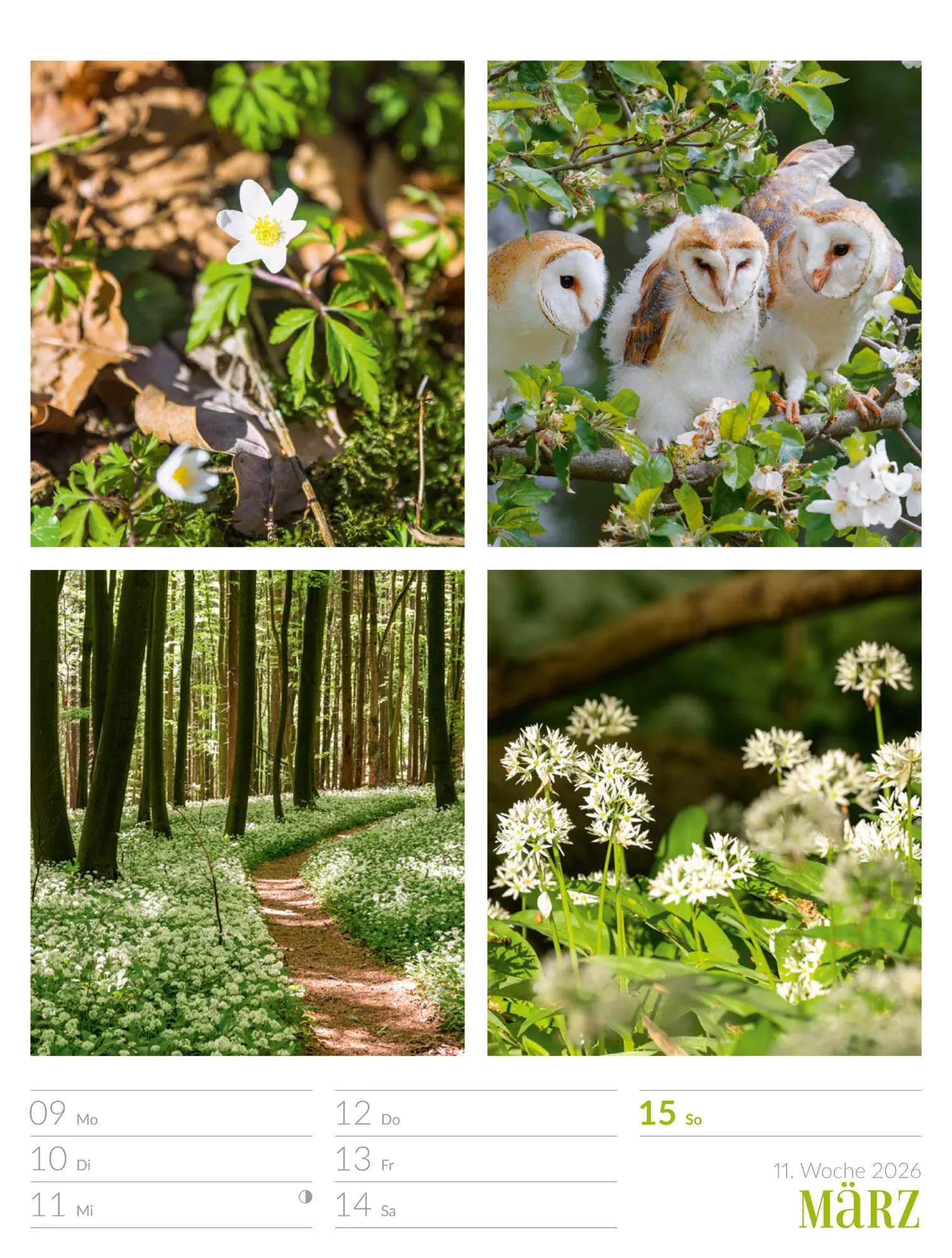 Bild: 9783838426815 | Farben der Natur - Wochenplaner Kalender 2026 | GmbH | Kalender | 2026