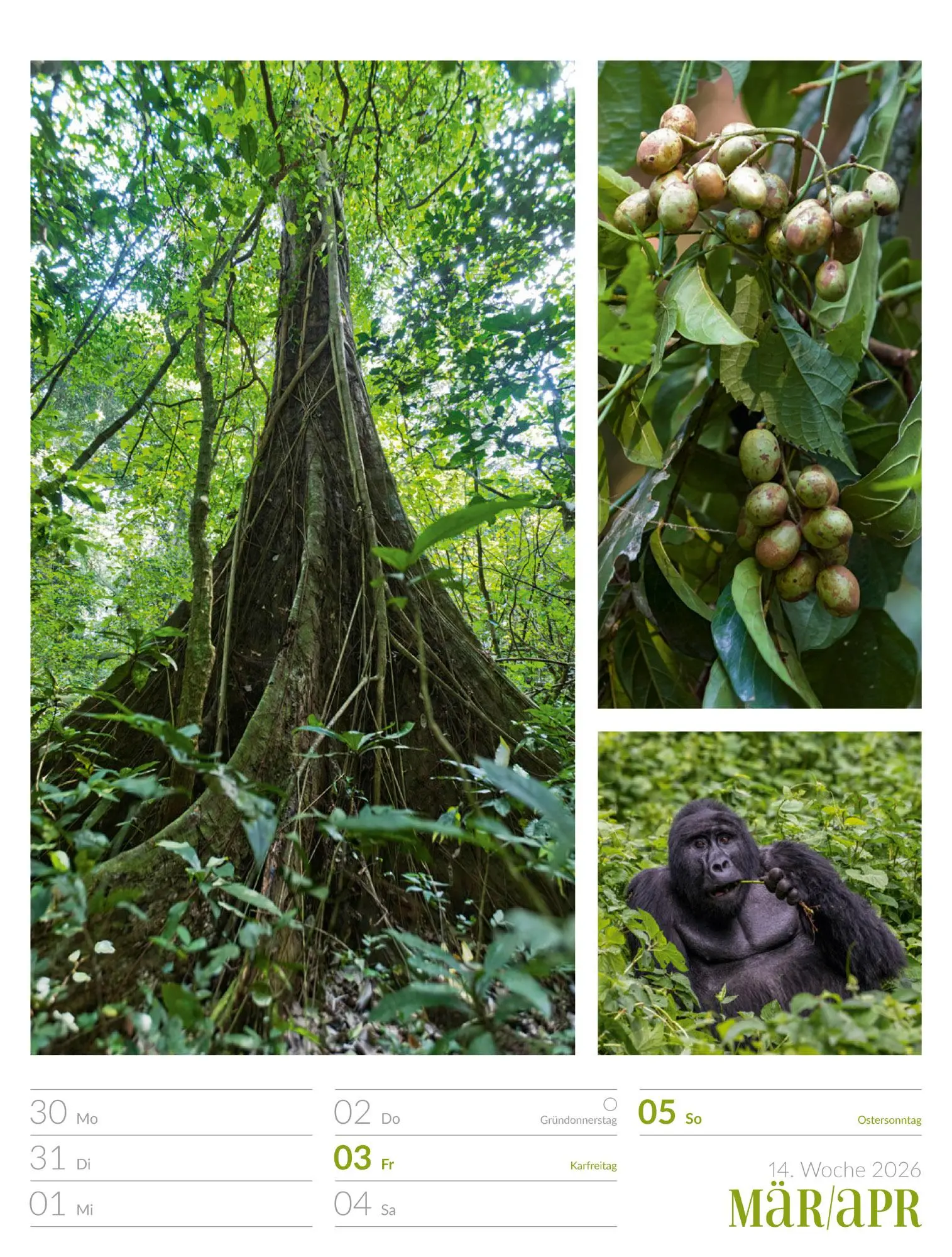 Bild: 9783838426815 | Farben der Natur - Wochenplaner Kalender 2026 | GmbH | Kalender | 2026