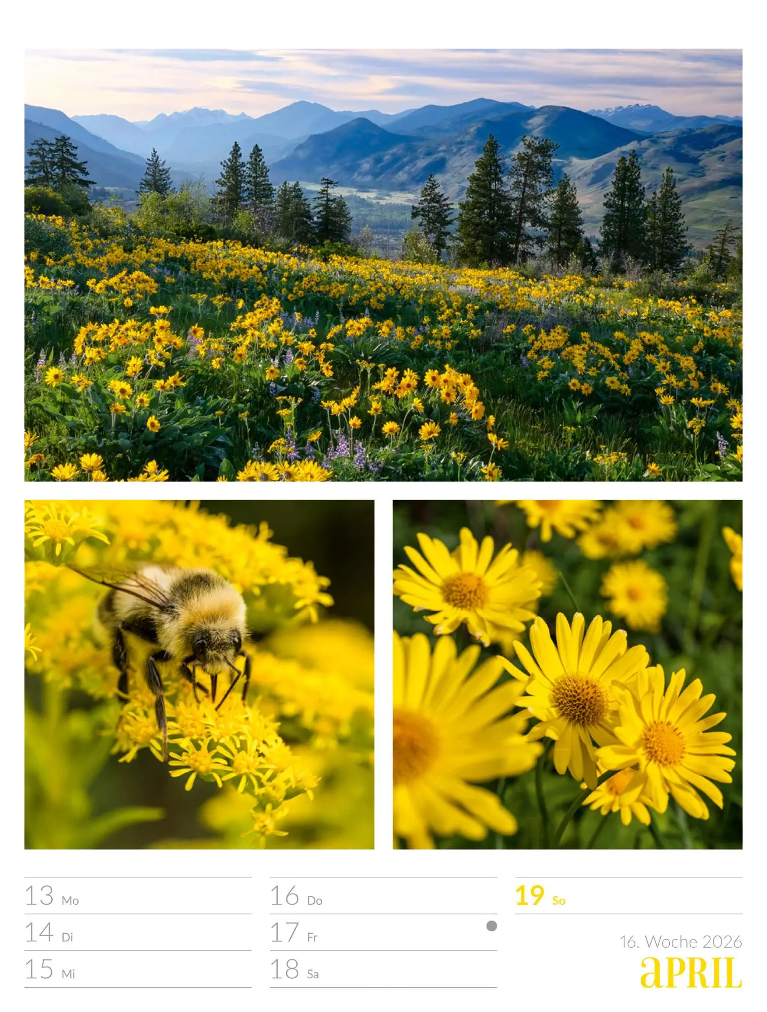 Bild: 9783838426815 | Farben der Natur - Wochenplaner Kalender 2026 | GmbH | Kalender | 2026