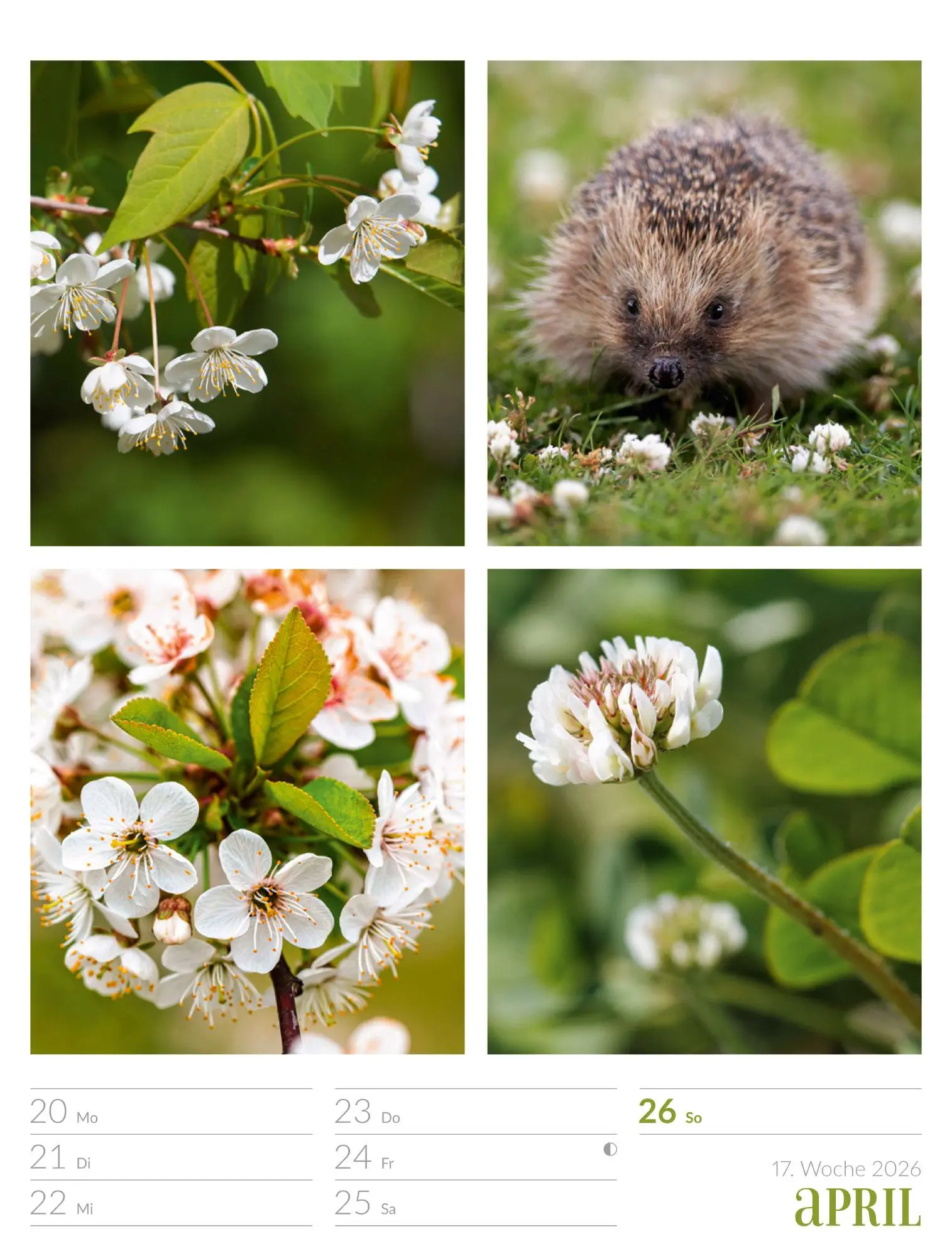 Bild: 9783838426815 | Farben der Natur - Wochenplaner Kalender 2026 | GmbH | Kalender | 2026