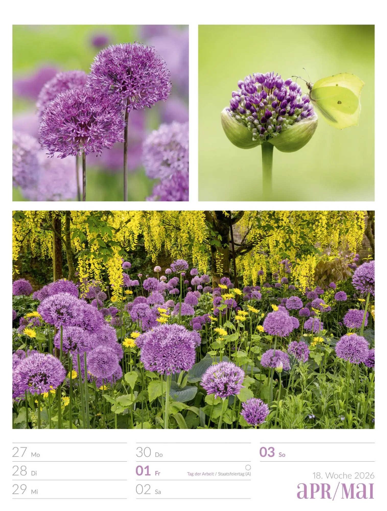 Bild: 9783838426815 | Farben der Natur - Wochenplaner Kalender 2026 | GmbH | Kalender | 2026
