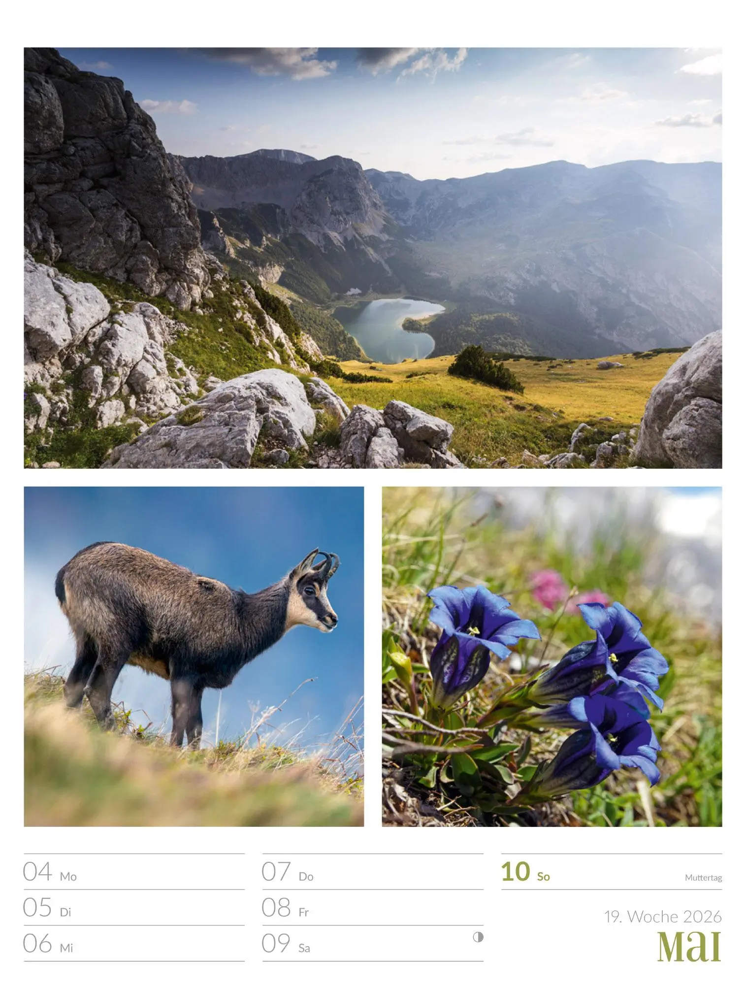Bild: 9783838426815 | Farben der Natur - Wochenplaner Kalender 2026 | GmbH | Kalender | 2026