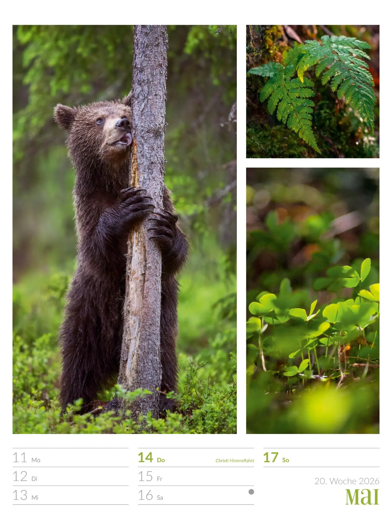 Bild: 9783838426815 | Farben der Natur - Wochenplaner Kalender 2026 | GmbH | Kalender | 2026
