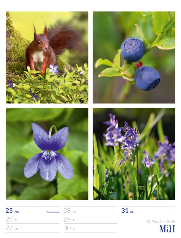 Bild: 9783838426815 | Farben der Natur Wochenplaner Kalender 2026 | GmbH | Kalender | 2026