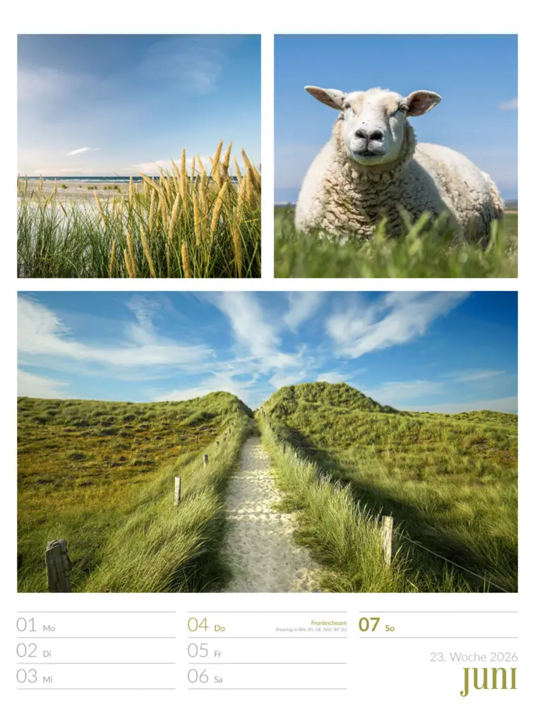 Bild: 9783838426815 | Farben der Natur Wochenplaner Kalender 2026 | GmbH | Kalender | 2026