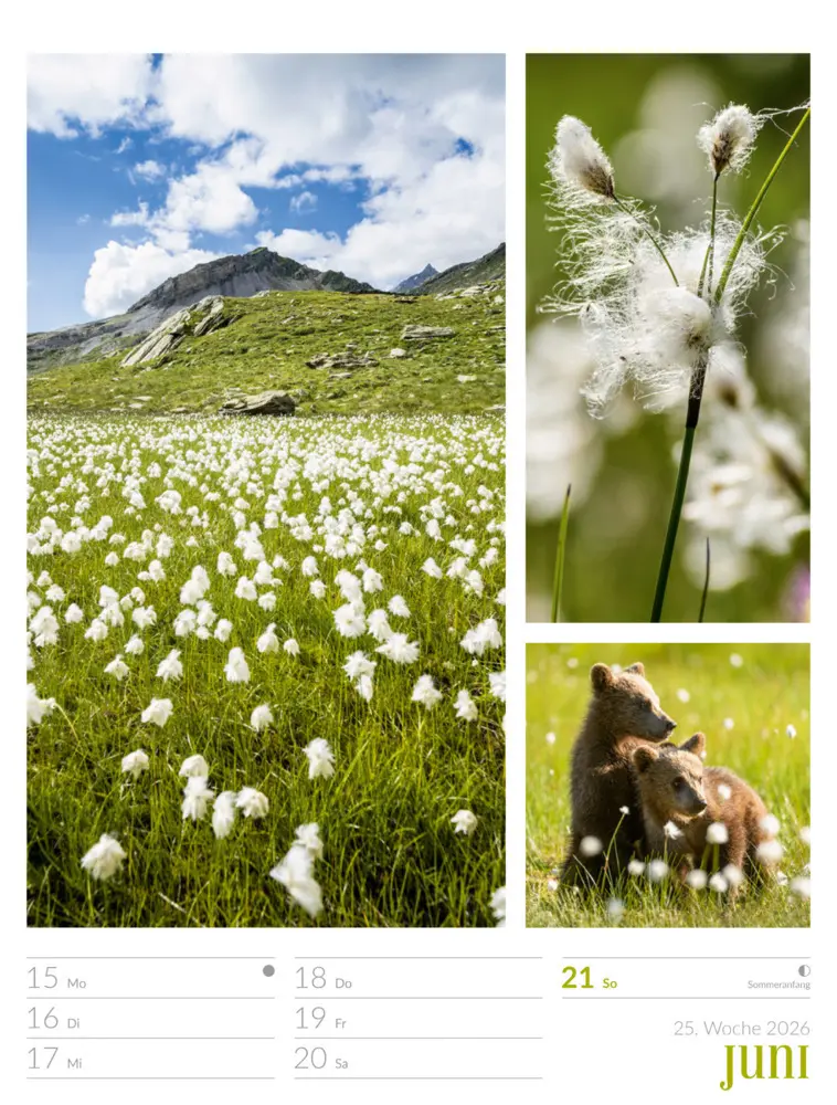 Bild: 9783838426815 | Farben der Natur Wochenplaner Kalender 2026 | GmbH | Kalender | 2026
