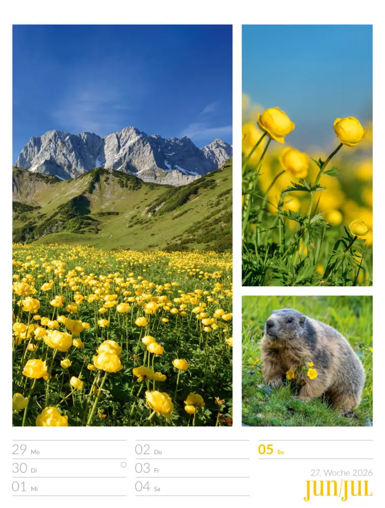 Bild: 9783838426815 | Farben der Natur Wochenplaner Kalender 2026 | GmbH | Kalender | 2026