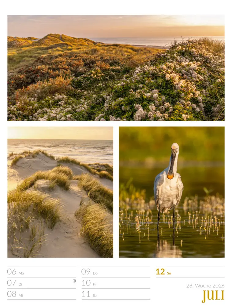 Bild: 9783838426815 | Farben der Natur Wochenplaner Kalender 2026 | GmbH | Kalender | 2026