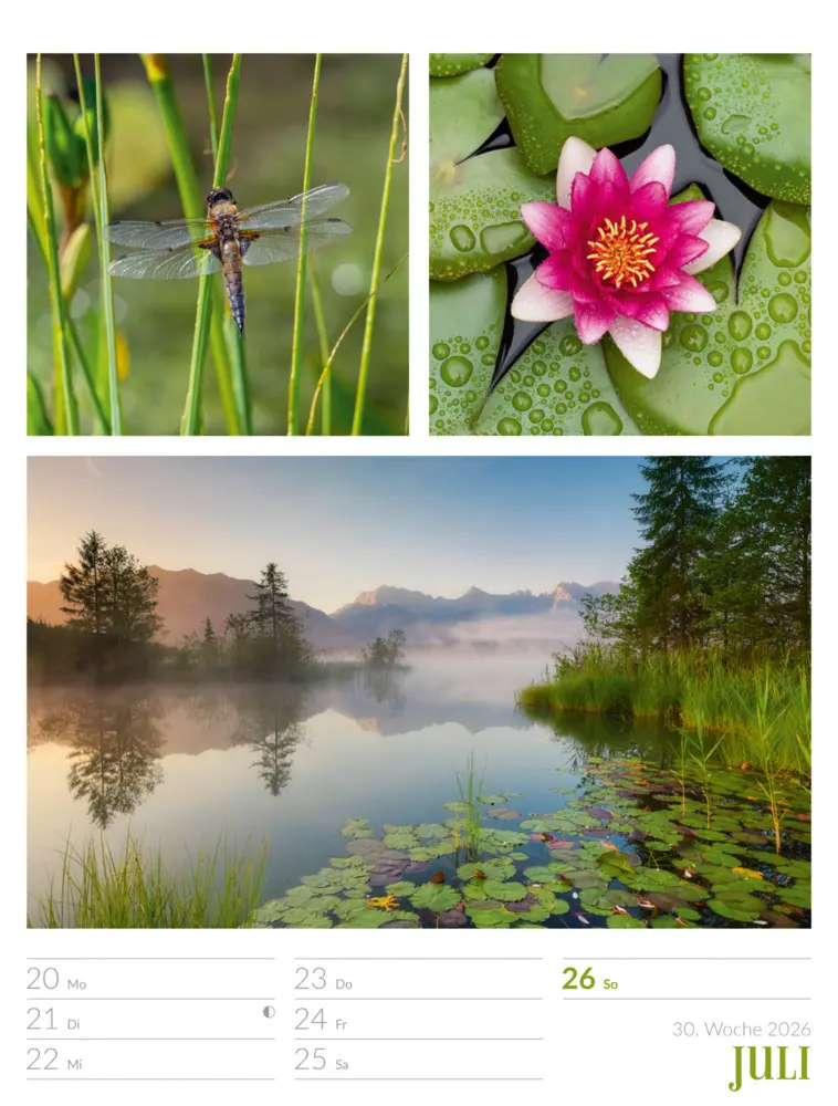 Bild: 9783838426815 | Farben der Natur Wochenplaner Kalender 2026 | GmbH | Kalender | 2026