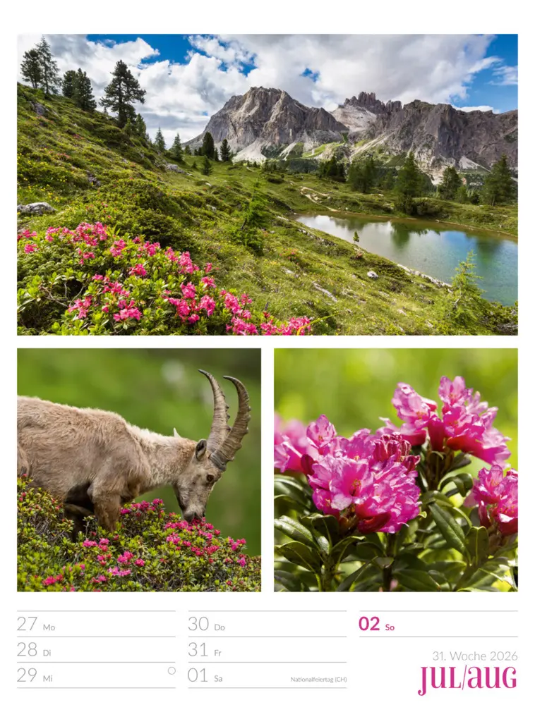 Bild: 9783838426815 | Farben der Natur Wochenplaner Kalender 2026 | GmbH | Kalender | 2026