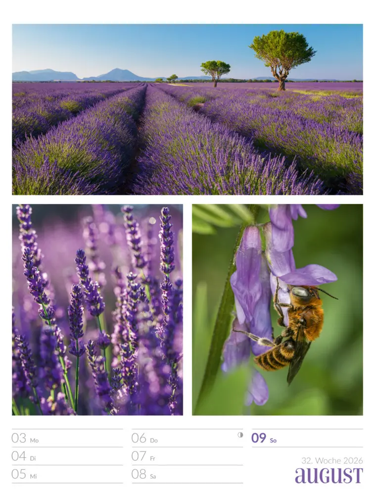 Bild: 9783838426815 | Farben der Natur Wochenplaner Kalender 2026 | GmbH | Kalender | 2026