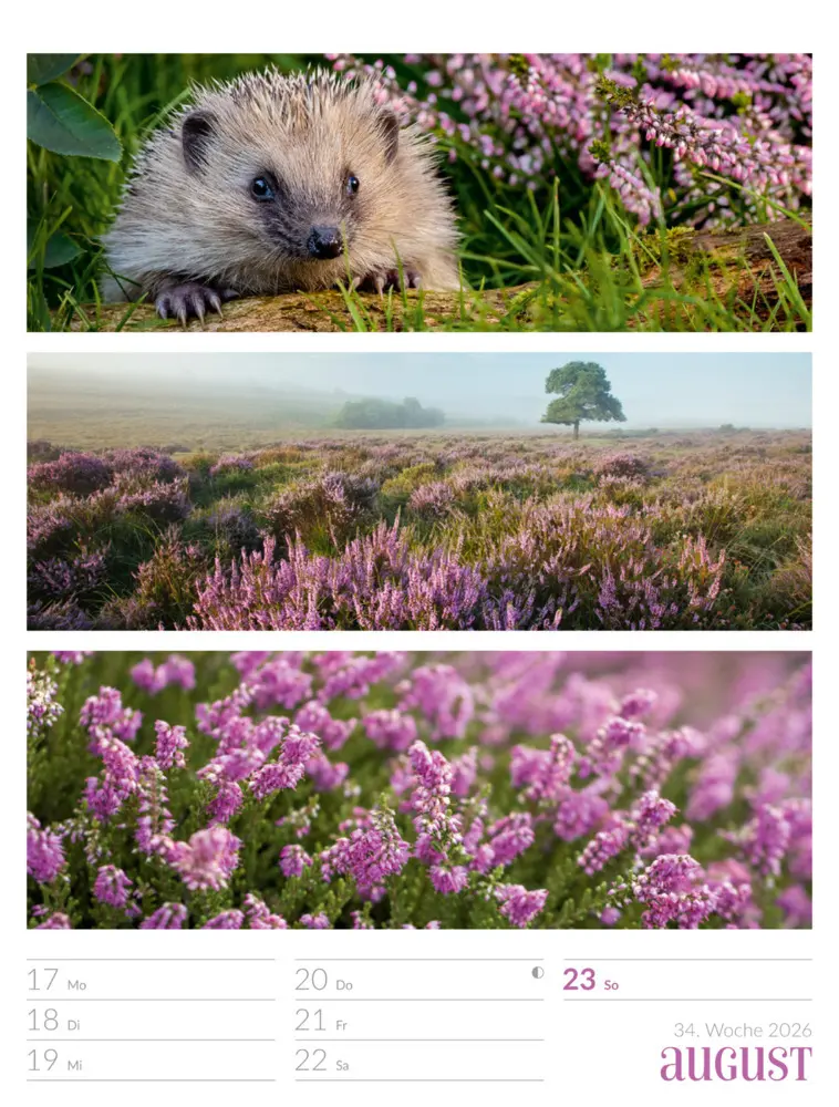 Bild: 9783838426815 | Farben der Natur Wochenplaner Kalender 2026 | GmbH | Kalender | 2026