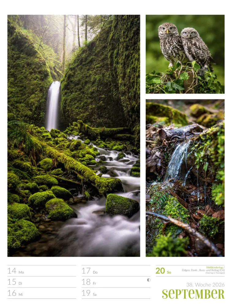 Bild: 9783838426815 | Farben der Natur Wochenplaner Kalender 2026 | GmbH | Kalender | 2026