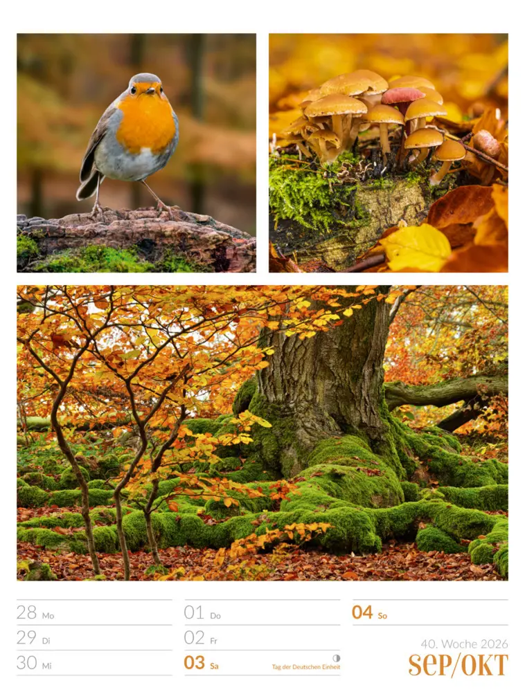 Bild: 9783838426815 | Farben der Natur Wochenplaner Kalender 2026 | GmbH | Kalender | 2026