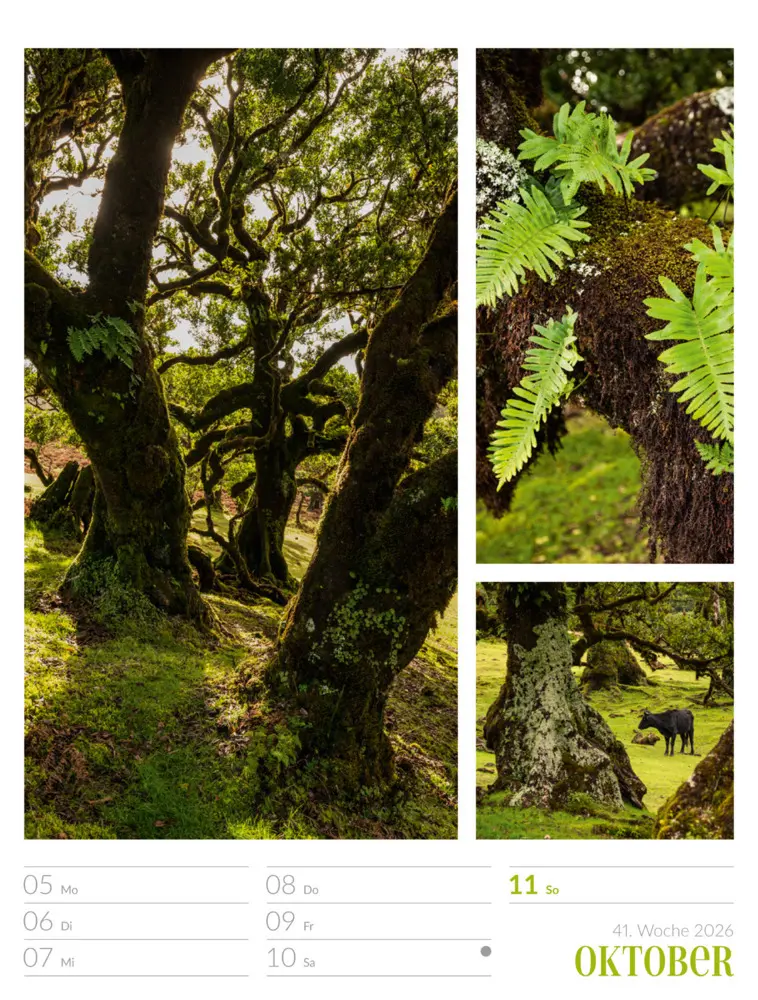 Bild: 9783838426815 | Farben der Natur Wochenplaner Kalender 2026 | GmbH | Kalender | 2026