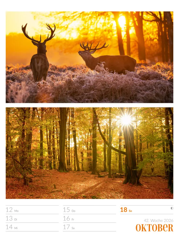 Bild: 9783838426815 | Farben der Natur Wochenplaner Kalender 2026 | GmbH | Kalender | 2026