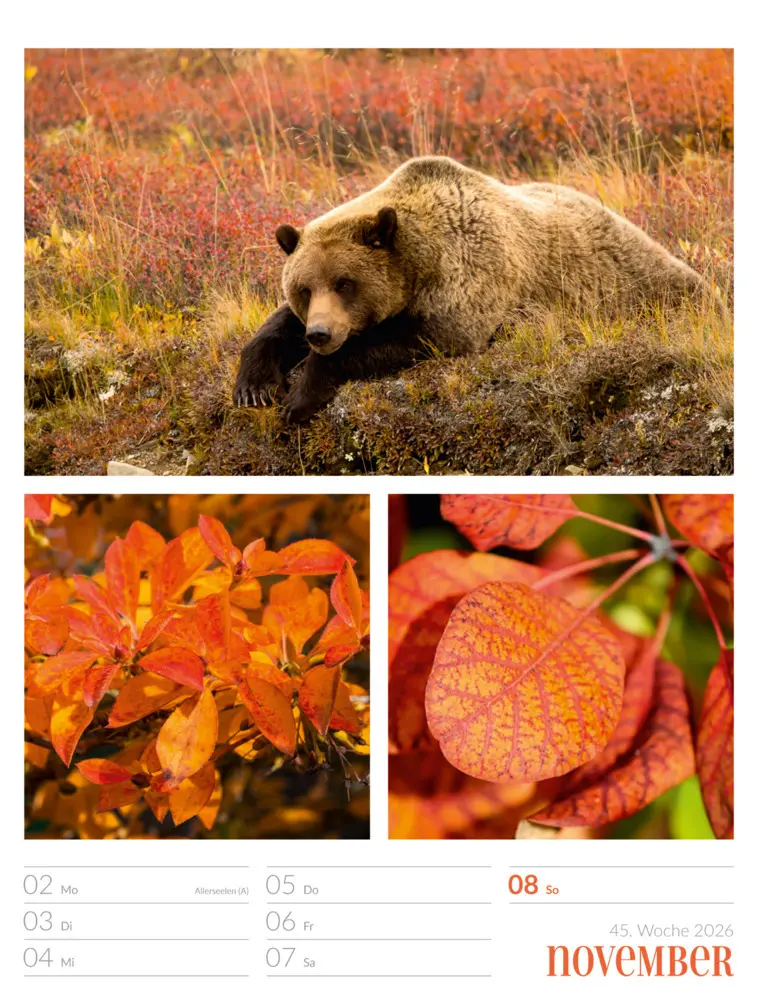 Bild: 9783838426815 | Farben der Natur Wochenplaner Kalender 2026 | GmbH | Kalender | 2026
