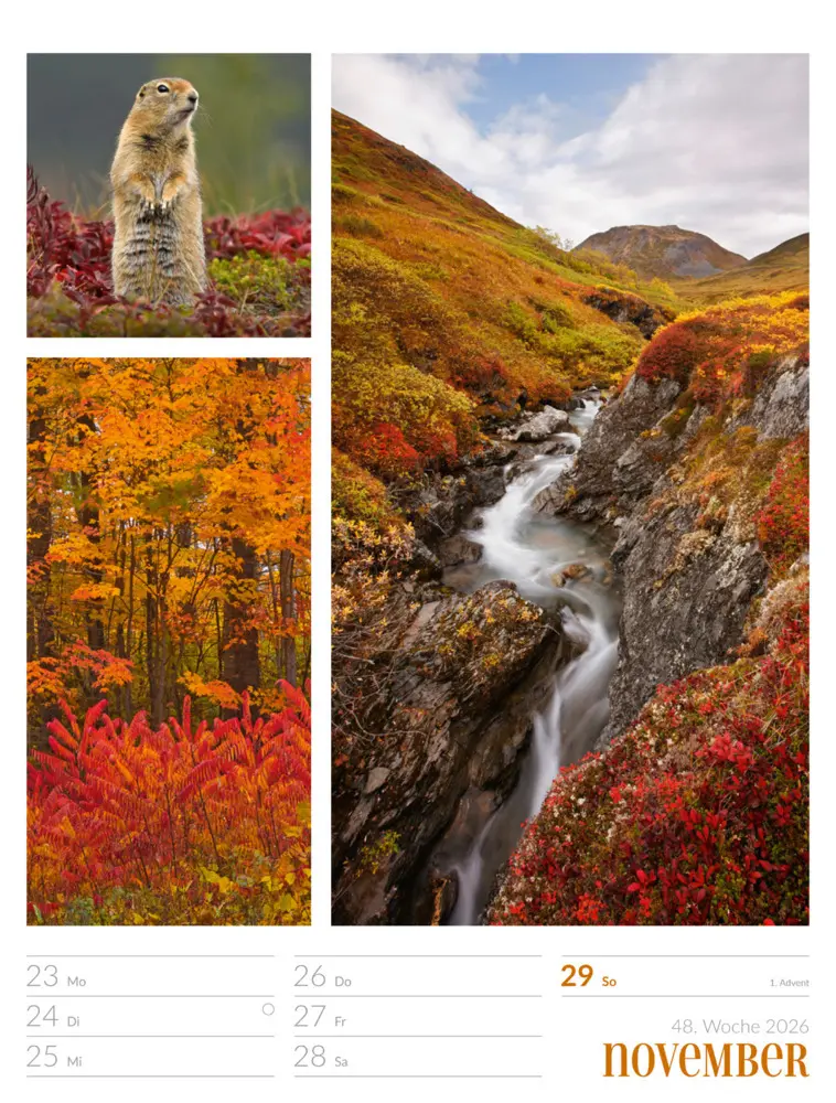Bild: 9783838426815 | Farben der Natur Wochenplaner Kalender 2026 | GmbH | Kalender | 2026